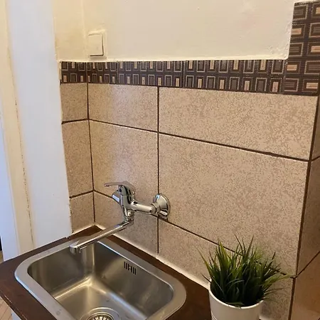 Cismigiu Park View Bükreş