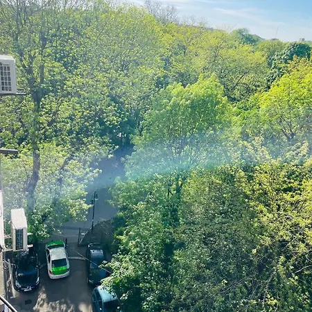 Daire Cismigiu Park View *