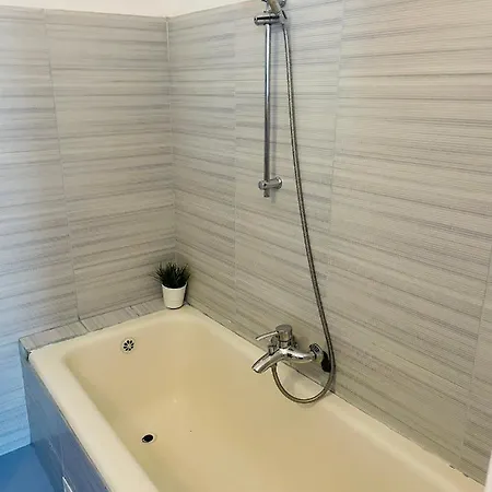 Appartement Cismigiu Park View *