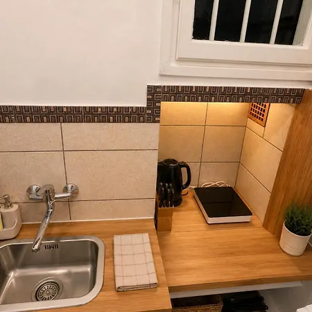Cismigiu Park View Apartment *