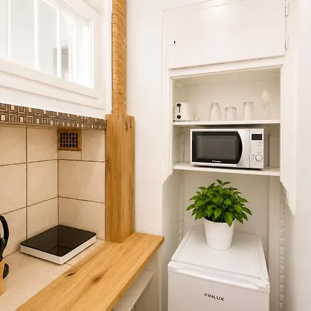 Cismigiu Park View Apartment
