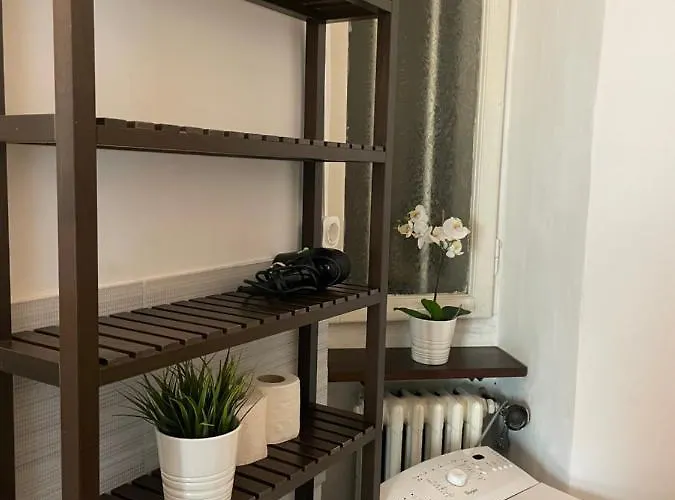 Cismigiu Park View 부쿠레슈티