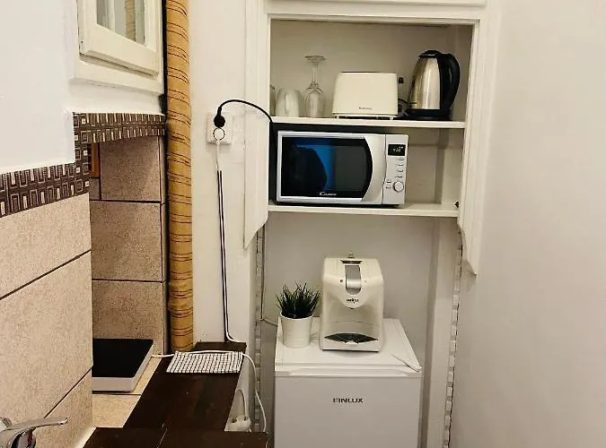 Apartament Cismigiu Park View