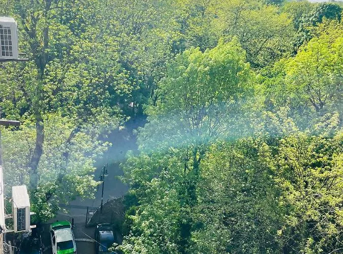 شقة Cismigiu Park View *