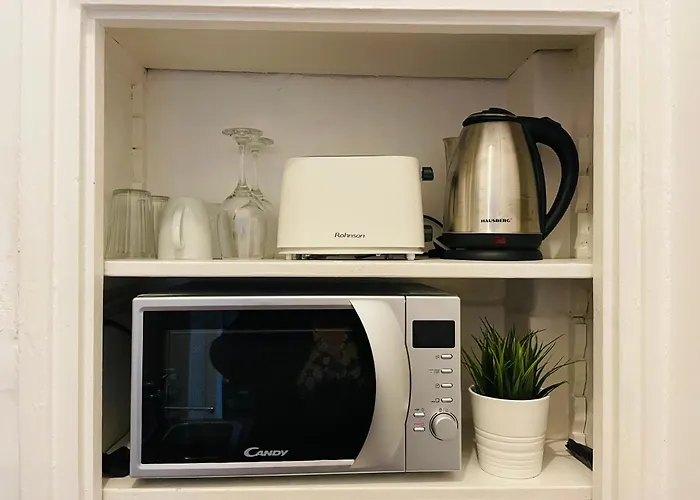 Apartament Cismigiu Park View