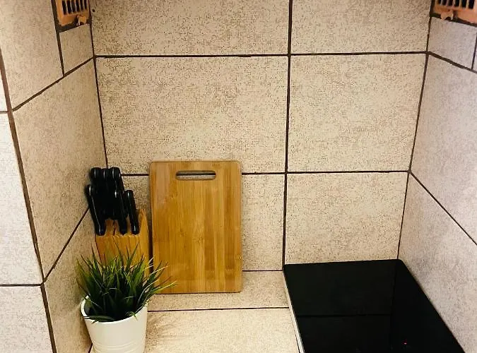 Cismigiu Park View 아파트 *