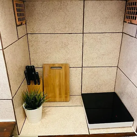 Cismigiu Park View Apartment *