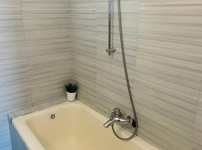 Appartement Cismigiu Park View *